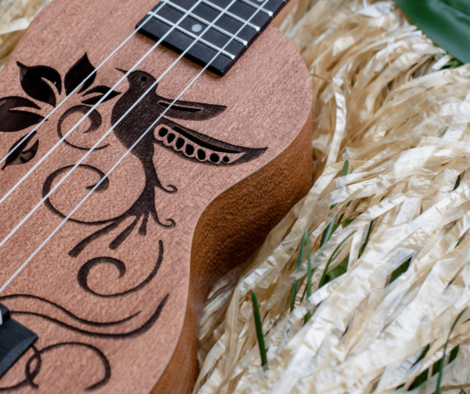 Uke Can Do It! How to Get Started With the Ukulele